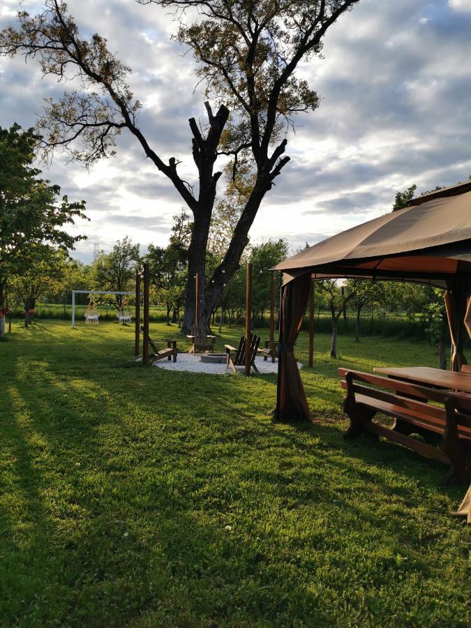 Green Garden Glamping Retezat Balan  Exterior photo